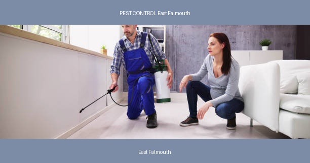 PEST CONTROL East Falmouth